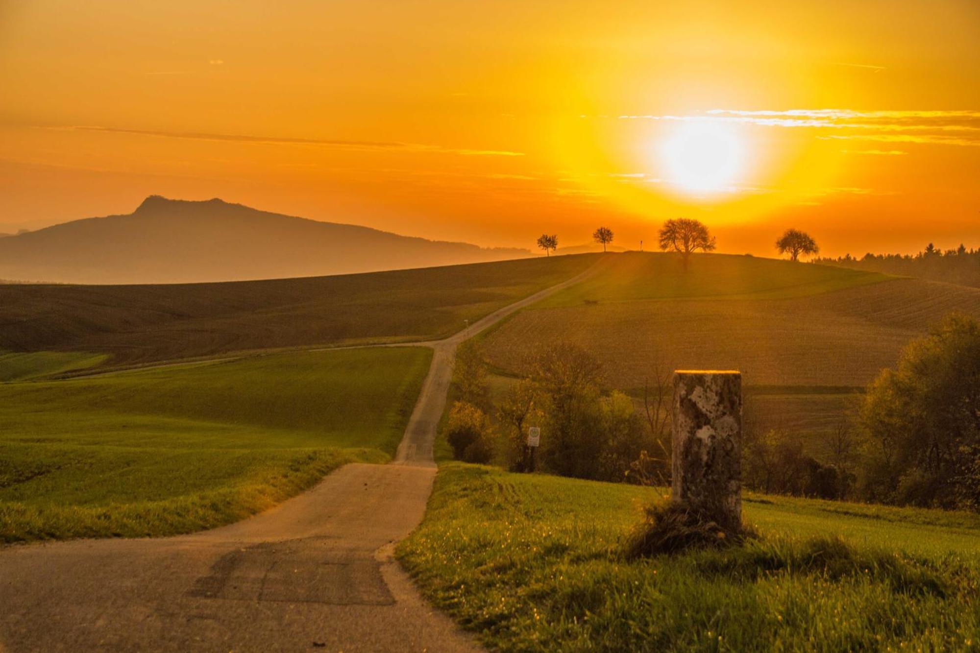 Landgasthof Schuetzen Tengen Exteriör bild